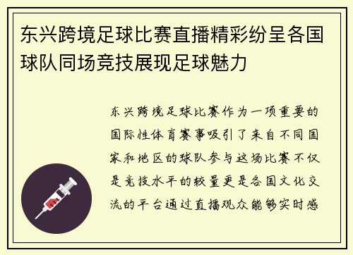 东兴跨境足球比赛直播精彩纷呈各国球队同场竞技展现足球魅力